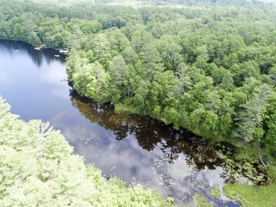 Discover the opportunity to build your dream home on the shores - photo 3
