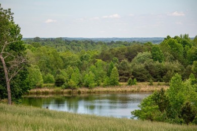Lake Lot For Sale in South Boston, Virginia