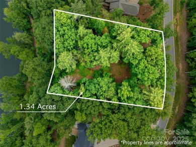 Lake Lot For Sale in Candler, North Carolina