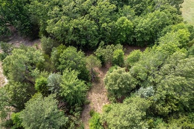 Looking for acreage, a shop, and a move-in ready home in Lindale - photo 27