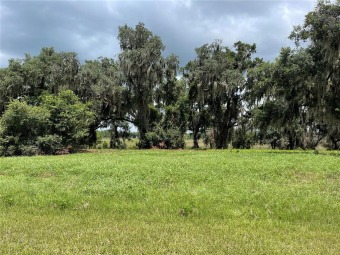 Lake Arrowtree Acreage For Sale in Groveland Florida