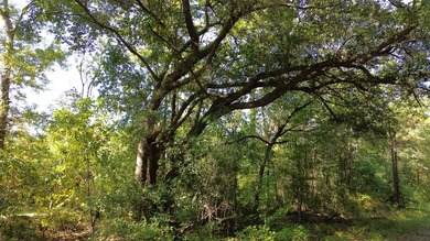 (private lake, pond, coastal) Acreage For Sale in Ruffin South Carolina