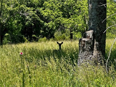 Rare lake view building opportunity on Holiday Island! This lush - photo 11