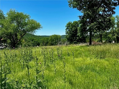 Rare lake view building opportunity on Holiday Island! This lush - photo 12