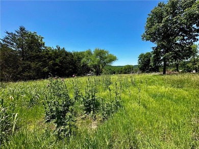 Rare lake view building opportunity on Holiday Island! This lush - photo 13