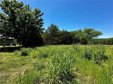 Rare lake view building opportunity on Holiday Island! This lush - photo 14