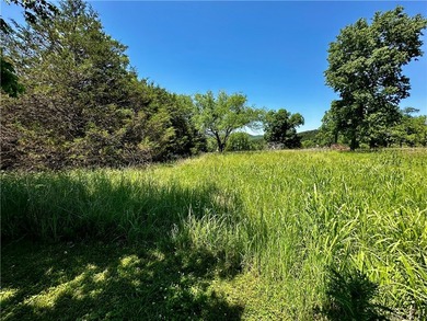 Rare lake view building opportunity on Holiday Island! This lush - photo 15