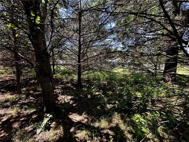 Rare lake view building opportunity on Holiday Island! This lush - photo 16