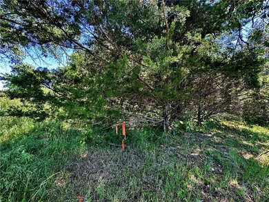 Rare lake view building opportunity on Holiday Island! This lush - photo 17