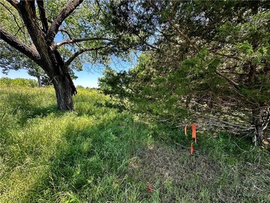 Rare lake view building opportunity on Holiday Island! This lush - photo 18