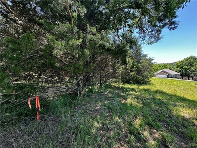 Rare lake view building opportunity on Holiday Island! This lush - photo 19