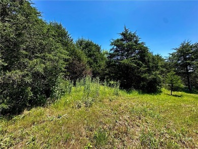 Rare lake view building opportunity on Holiday Island! This lush - photo 20