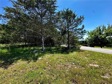 Rare lake view building opportunity on Holiday Island! This lush - photo 21