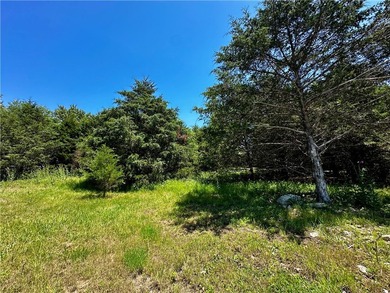 Rare lake view building opportunity on Holiday Island! This lush - photo 22