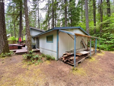 ONE-LEVEL CABIN IN NORTHWOODS! Located on the corner of one of - photo 22