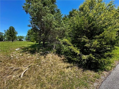 Rare lake view building opportunity on Holiday Island! This lush - photo 23