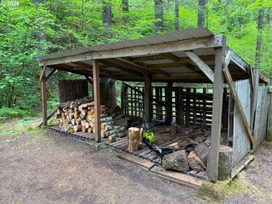 ONE-LEVEL CABIN IN NORTHWOODS! Located on the corner of one of - photo 23