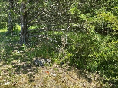 Rare lake view building opportunity on Holiday Island! This lush - photo 24
