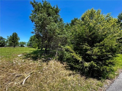 Rare lake view building opportunity on Holiday Island! This lush - photo 25