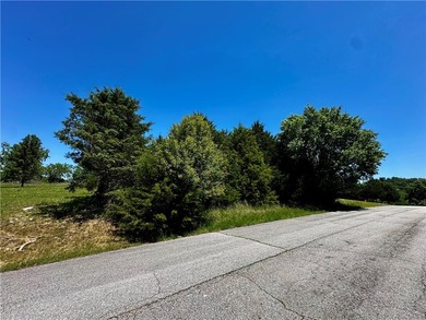 Rare lake view building opportunity on Holiday Island! This lush - photo 26