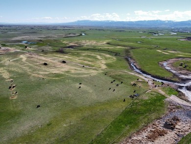 Rare opportunity to own an exceptional legacy ranch with - photo 8