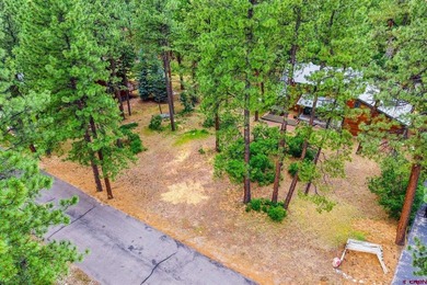 Chelsea A Krueger, Wells Group Real Estate, C:,,: This is one of - photo 22