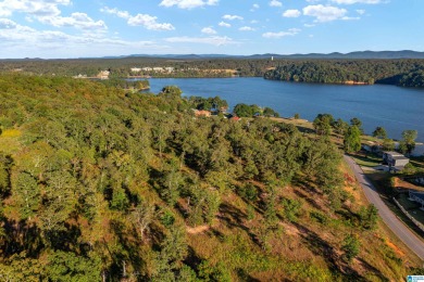 Logan Martin Lake Acreage For Sale in Pell City Alabama