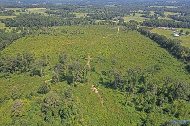 This beautiful 69+/- acres located right outside of both the - photo 2