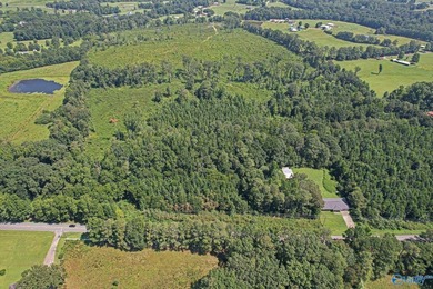 This beautiful 69+/- acres located right outside of both the - photo 7
