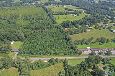 This beautiful 69+/- acres located right outside of both the - photo 10