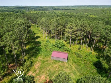 70.11 Acres | Professionally Managed Pine Plantation | Union - photo 1