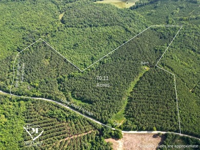 70.11 Acres | Professionally Managed Pine Plantation | Union - photo 2