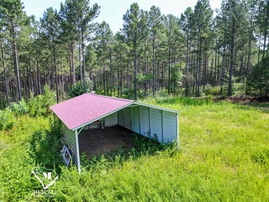 70.11 Acres | Professionally Managed Pine Plantation | Union - photo 8
