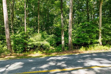 Nice .67-acre GOLF COURSE LOT situated on the par 5 hole #16 of - photo 3