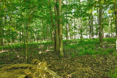 Nice .67-acre GOLF COURSE LOT situated on the par 5 hole #16 of - photo 6