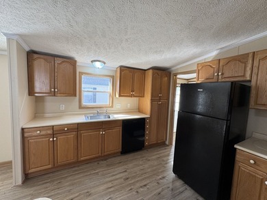 (private lake, pond, creek) Home For Sale in Flushing Michigan