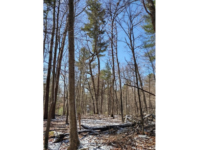 Set in the Majestic Woods development, this gorgeous heavily - photo 11