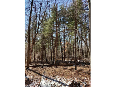 Set in the Majestic Woods development, this gorgeous heavily - photo 12
