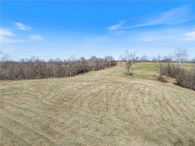 Discover 82.39 beautiful acres with highway frontage and - photo 13