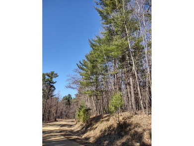 Set in the Majestic Woods development, this gorgeous heavily - photo 13