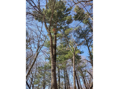 Set in the Majestic Woods development, this gorgeous heavily - photo 14