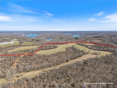 Discover 82.39 beautiful acres with highway frontage and - photo 15