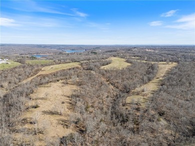 Discover 82.39 beautiful acres with highway frontage and - photo 17