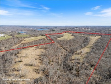 Discover 82.39 beautiful acres with highway frontage and - photo 18
