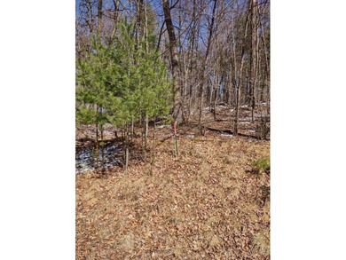 Set in the Majestic Woods development, this gorgeous heavily - photo 18