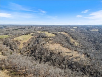 Discover 82.39 beautiful acres with highway frontage and - photo 19