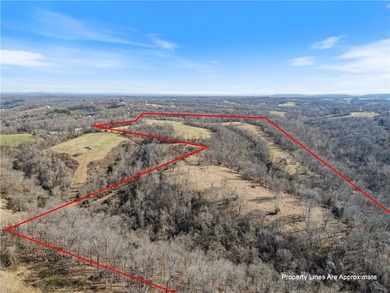 Discover 82.39 beautiful acres with highway frontage and - photo 20