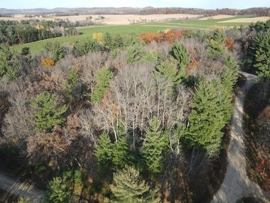 Set in the Majestic Woods development, this gorgeous heavily - photo 22