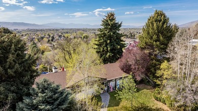 Beautifully updated home in a prime Provo location with - photo 48