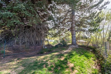 Beautifully updated home in a prime Provo location with - photo 50